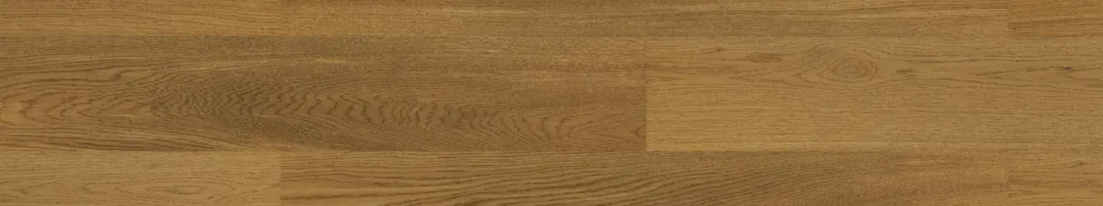 Jangal Dorato upside view