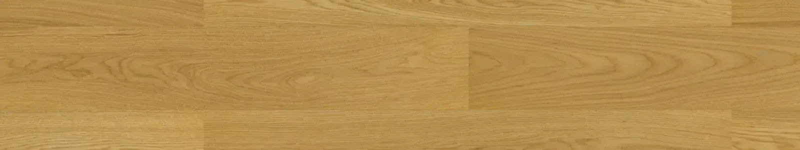 Jangal Miele upside view